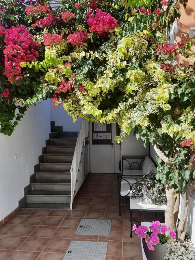 Hostal Costa مدينة إيبيزا المظهر الخارجي الصورة